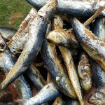 කීරමින් 500g (Keeramin Dry Fish)