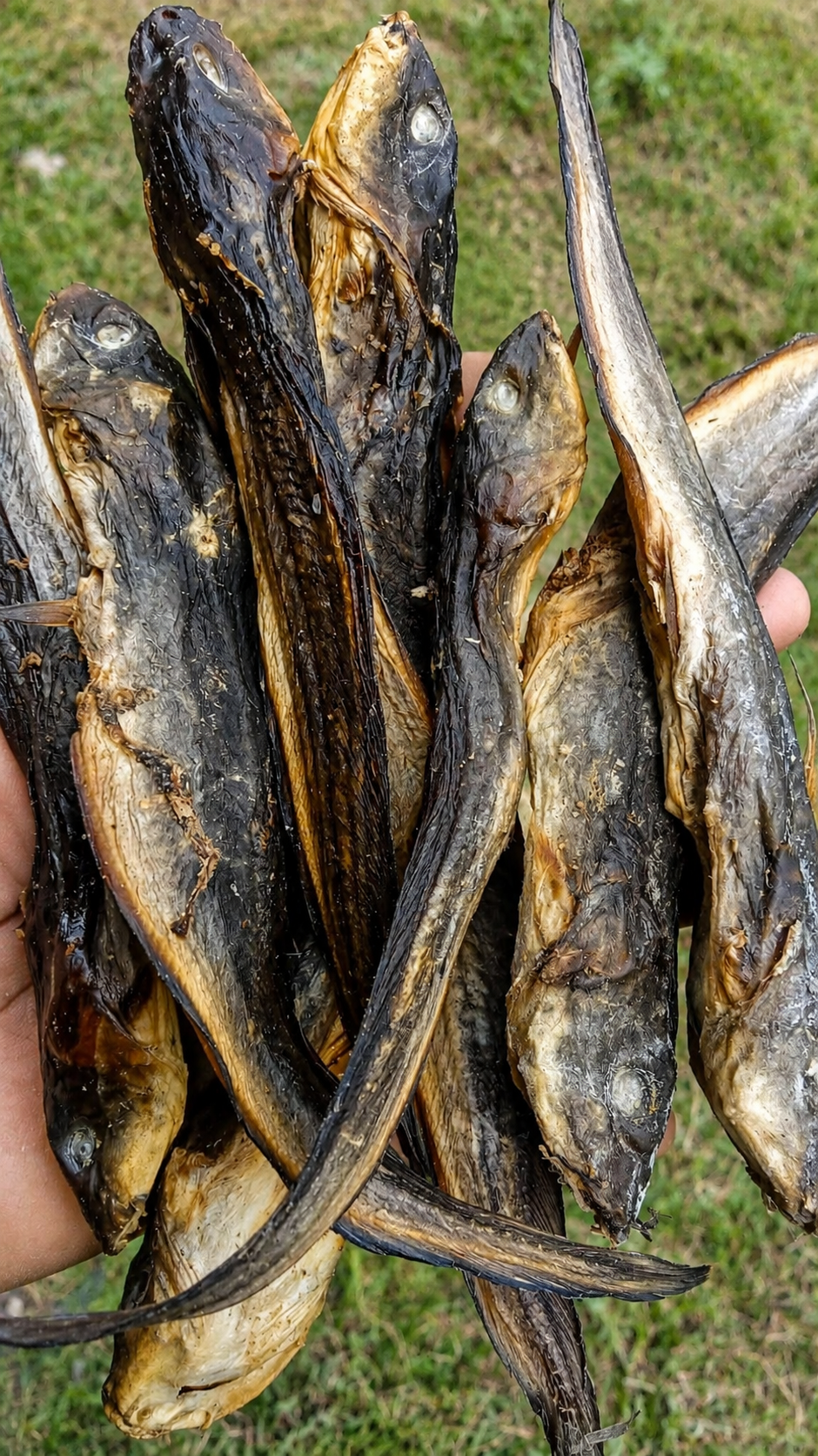 file_00000000ff3881fa9eed376bae24d706 හුන්ගා 500g (Hunga Dry Fish) - Image 1